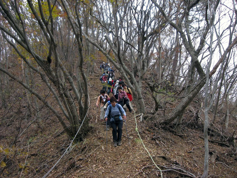 高川山